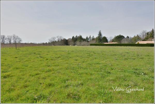 Maison 174 m² + piscine et dépendances sur 3,5 ha de terrain