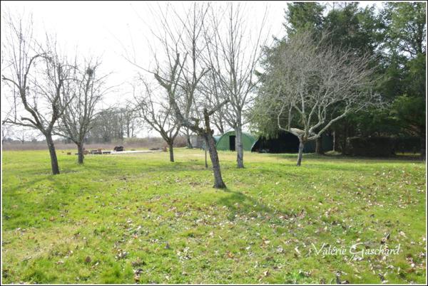 Maison 174 m² + piscine et dépendances sur 3,5 ha de terrain