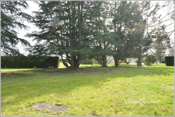 Maison 174 m² + piscine et dépendances sur 3,5 ha de terrain