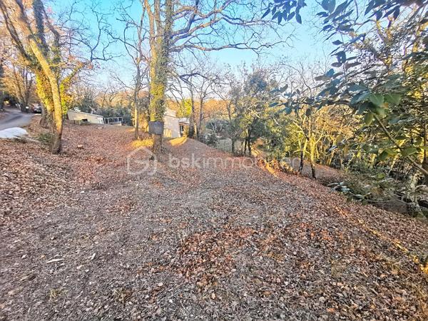 Terrain de 1 986 m²