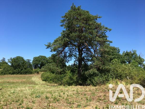 Terrain à vendre 16 285 m² Vivonne