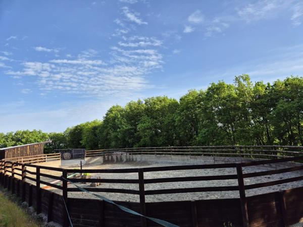 PROPRIÉTÉ ÉQUESTRE DE STANDING . 12 Hectares