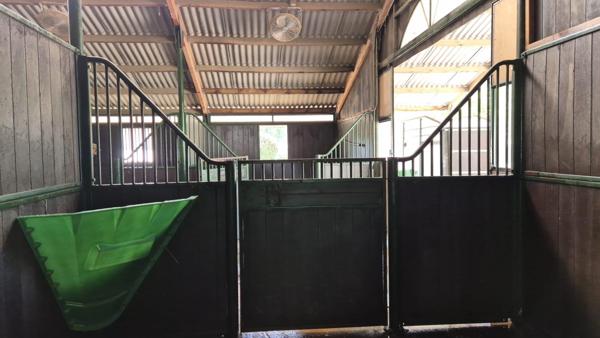 PROPRIÉTÉ ÉQUESTRE DE STANDING . 12 Hectares