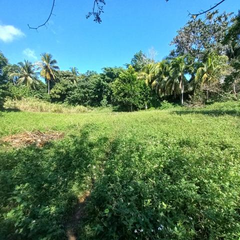 Propriété à vendre sur 5436M2 à PETIT-BOURG GUADELOUPE