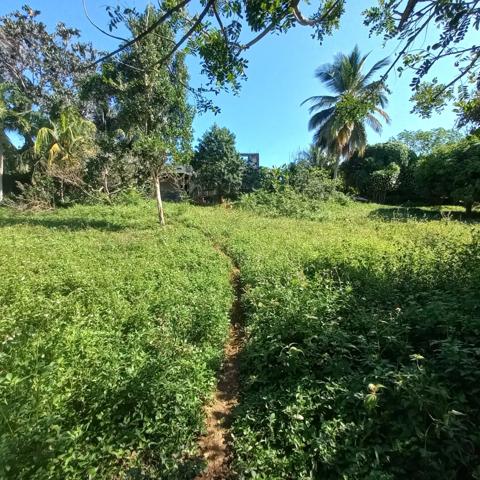 Propriété à vendre sur 5436M2 à PETIT-BOURG GUADELOUPE