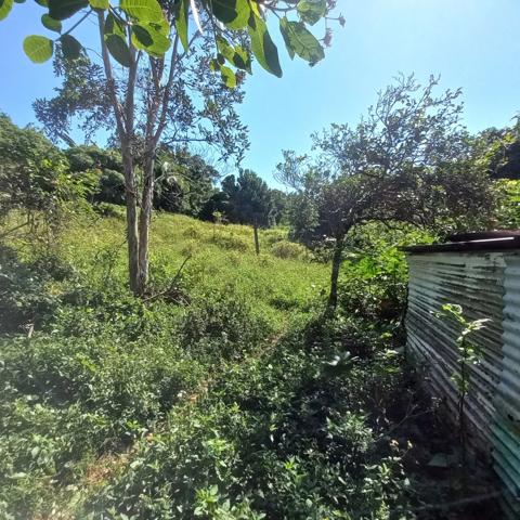 Propriété à vendre sur 5436M2 à PETIT-BOURG GUADELOUPE