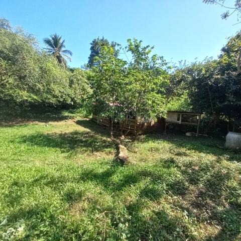 Propriété à vendre sur 5436M2 à PETIT-BOURG GUADELOUPE