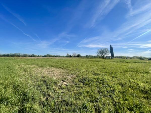 Terrain
        
        - 2038 m² 55 000 € *
