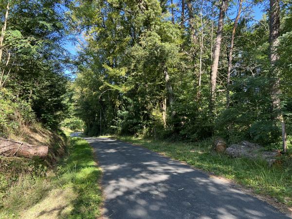 Terrain - 14696 m² Exclusivité efficity