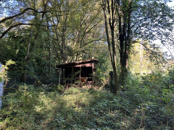 Terrain - 14696 m² Exclusivité efficity