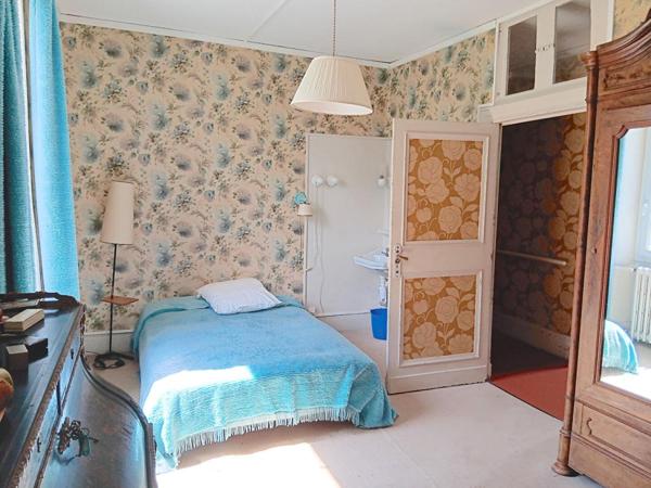 Maison de maître, idéal chambres d'hôtes ou petit hôtel + maison indépendante rénovée
