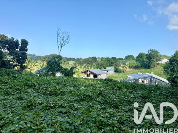 Terrain à vendre 819 m² Les Abymes