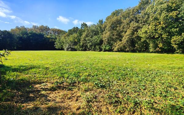 Terrain à vendre    Noé