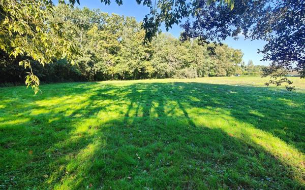 Terrain à vendre    Noé