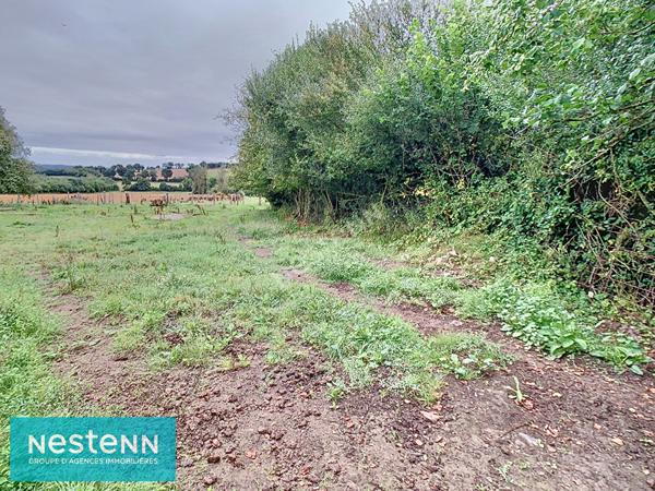 Maison en pierres en cours de rénovation, avec nombreuses dépendances à Saint Brandan sur 11300 m² de jardin