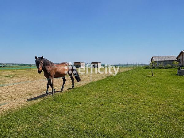 Terrain
        
        - 8516 m² Exclusivité 295 000 € *