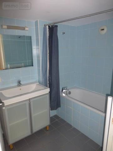 Appartement à louer à Lille dans le Nord (59000), ref : 59002-L186