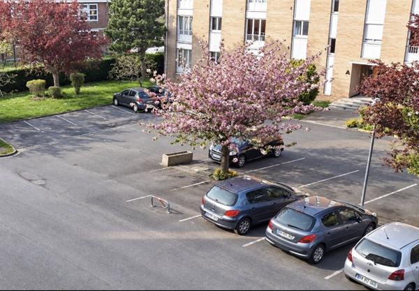 Appartement 35m² Loos