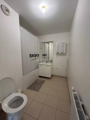 Location Appartement 2 pièces 41 m2 à Villeurbanne