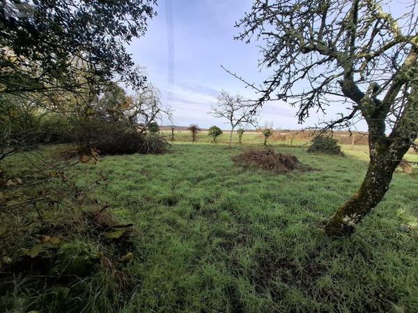 Maison à vendre à Val de Cognac en Charente (16370), ref : 17111-707