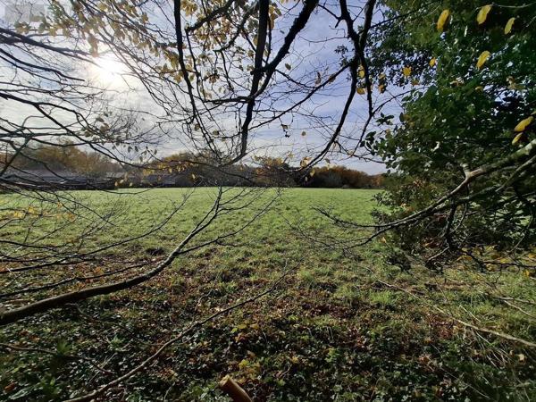 Maison à vendre à Val de Cognac en Charente (16370), ref : 17111-707