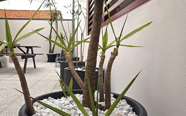 Appartement à vendre    5 pièces • 115,40 m2 Biarritz