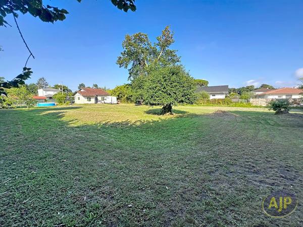Terrains à vendre Andernos Les Bains : surface de 2184 m2 à 790 000€ - AJP Immobilier Andernos les Bains