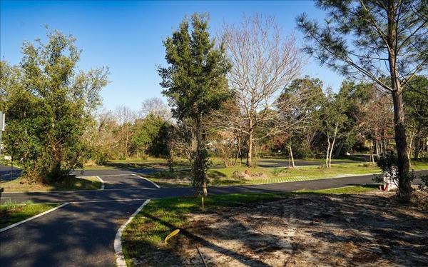 Terrain à vendre |  Bénesse-Maremne |  572 m²