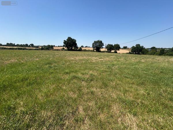 Maison à vendre à Saint-Quentin-en-Mauges dans le Maine-et-Loire (49110), ref : 12516/1219