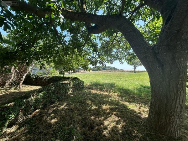 Maison à vendre à Saint-Quentin-en-Mauges dans le Maine-et-Loire (49110), ref : 12516/1219