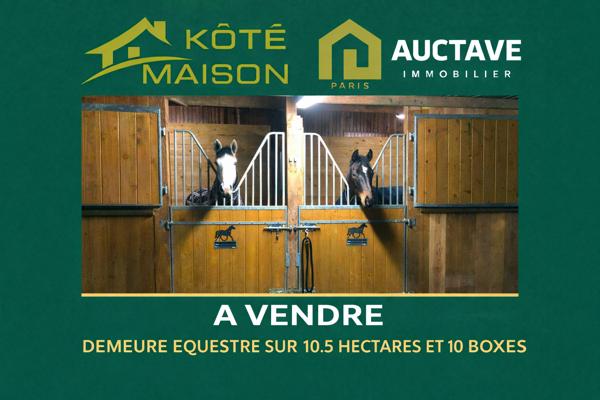 PROPRIETE EQUESTRE 10 BOXES PROCHE du MELE SUR SARTHE , Le mele sur sarthe PROPRIETE EQUESTRE 10 BOXES PROCHE du MELE SUR SARTHE , Le mele sur sarthe
