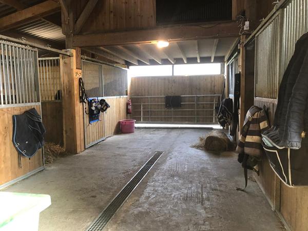PROPRIETE EQUESTRE 10 BOXES PROCHE du MELE SUR SARTHE , Le mele sur sarthe PROPRIETE EQUESTRE 10 BOXES PROCHE du MELE SUR SARTHE , Le mele sur sarthe