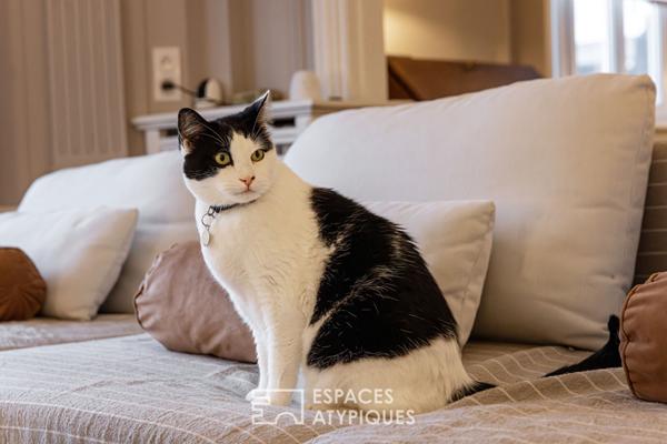 Appartement haussmannien à deux pas du parc Barbieux