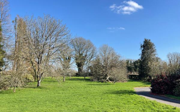 Maison à vendre    5 pièces •  Plouray