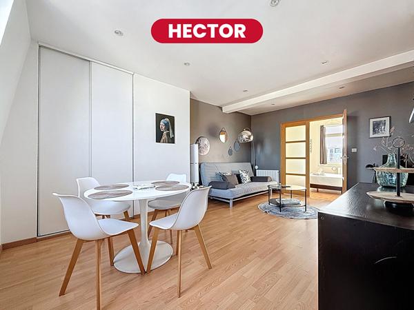HECTOR - Appartement T2 de 38.2 m2 traversant - St Michel/République