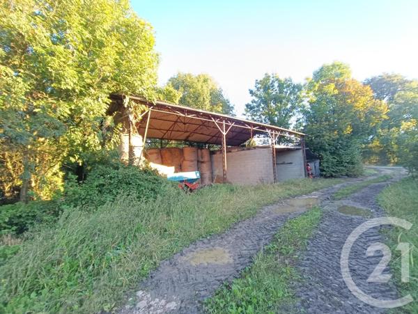 Maison à vendre  4 pièces - 116,40 m2 LA BERTHENOUX - 36