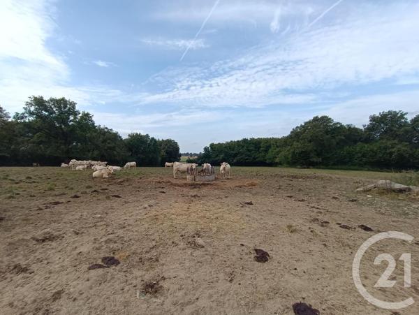 Maison à vendre  4 pièces - 116,40 m2 LA BERTHENOUX - 36