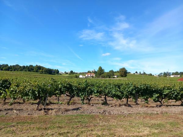 Domaine viticole proche de Archiac