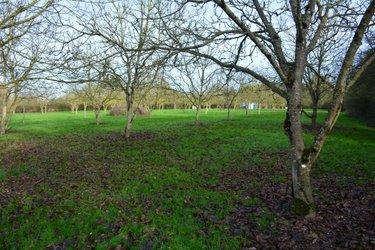 Terrain de loisirs - Bois - Etang à vendre à Grez-en-Bouère en Mayenne (53290), ref : 53039-382