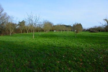 Terrain de loisirs - Bois - Etang à vendre à Grez-en-Bouère en Mayenne (53290), ref : 53039-382