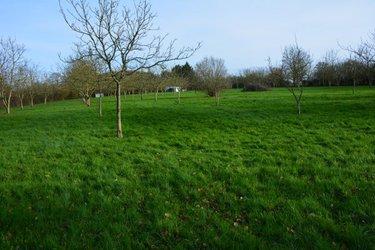 Terrain de loisirs - Bois - Etang à vendre à Grez-en-Bouère en Mayenne (53290), ref : 53039-382
