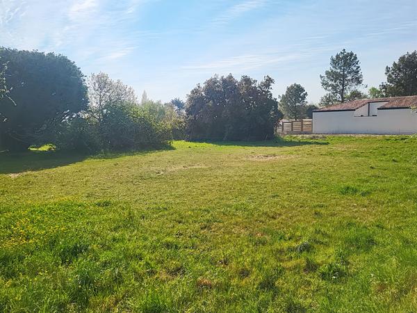 Terrain Notre Dame De Monts 772 m2