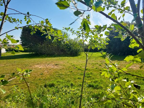 Terrain Notre Dame De Monts 772 m2