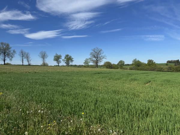 Ancien corps de ferme à rénover avec 4,28 hectares près de Rieupeyroux