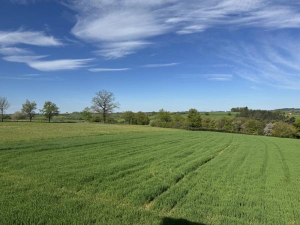 Ancien corps de ferme à rénover avec 4,28 hectares près de Rieupeyroux
