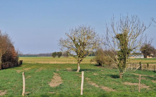Maison à vendre    4 pièces •  Saint-Sulpice-d'Arnoult