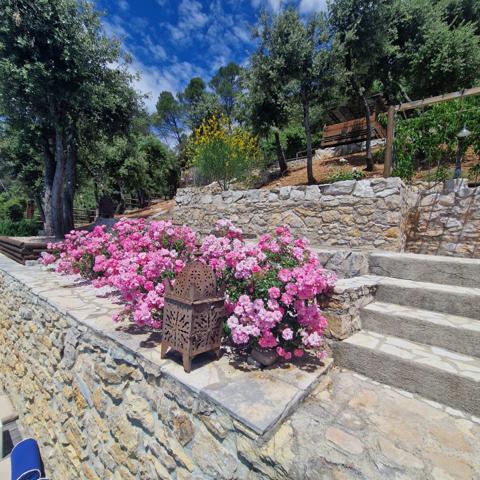 Lorgues (83510) Propriété 10 pièces 8 chambres avec piscine à Lorgues…