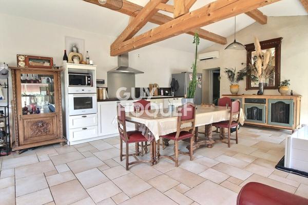 Mas en campagne , deux habitations avec garage et Hangar