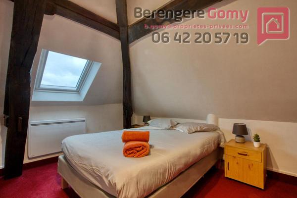 Grand T2 de près de 50m2 au sol (27m2 en Carrez) au 3e étage sous les poutres