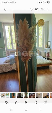 Superbe T3 rénové et climatisé secteur Notre-Dame-du-Mont – calme absolu au dernier étage !